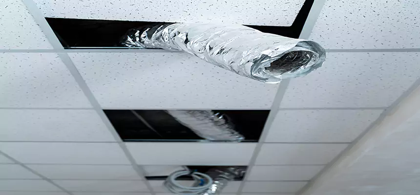 Our Air Duct Pet Hair Removal Services in Milton, MA