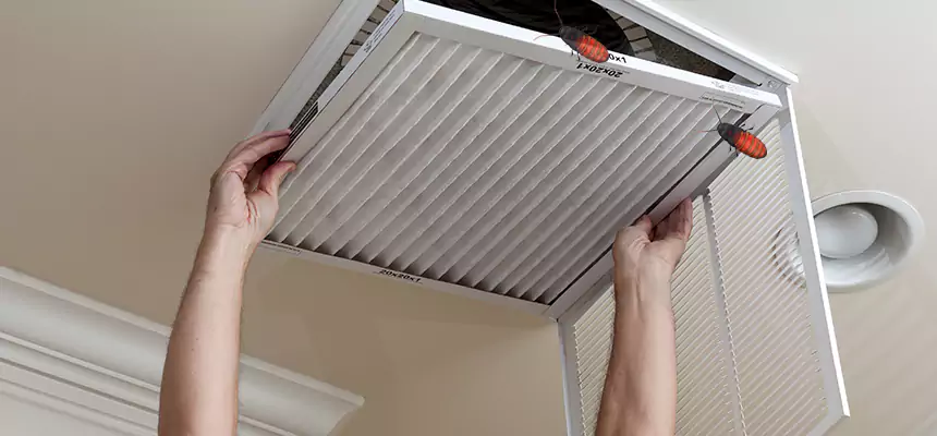 Our Insect Removal from Air Ducts Services in Milton, MA
