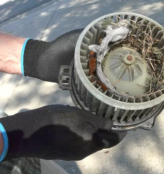 About Air Duct Rat Removal in Milton, MA