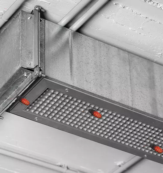Affordable Insect Removal from Air Ducts in Milton, MA