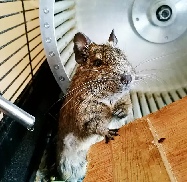 Why Homeowners & Businesses Trust Us Milton, MA?