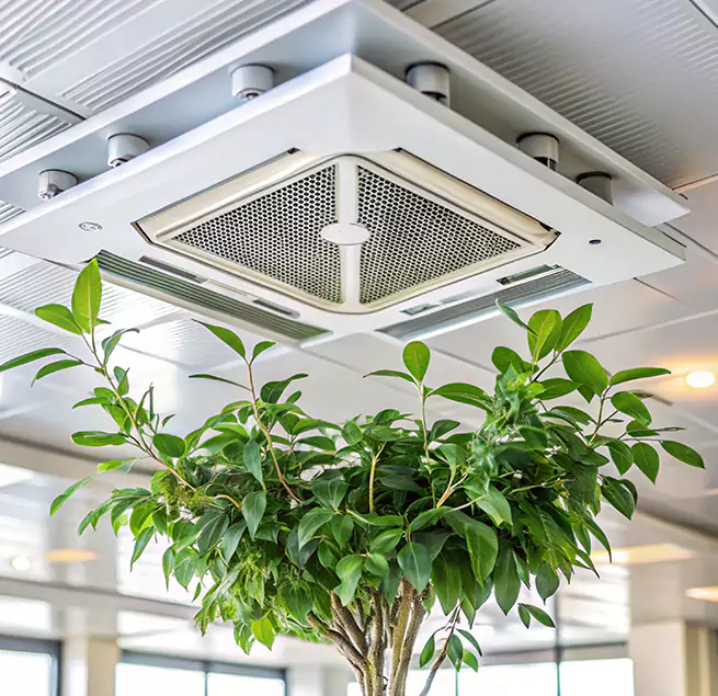 Why Homeowners & Businesses Trust Us in Milton, MA