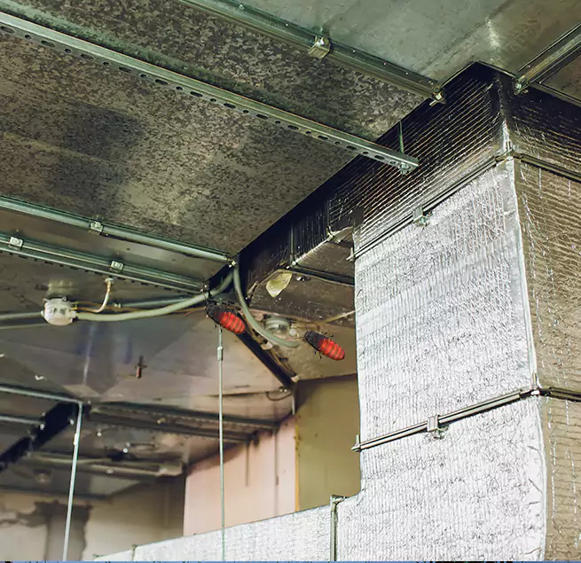 Why Homeowners & Businesses Trust Us Milton, MA?