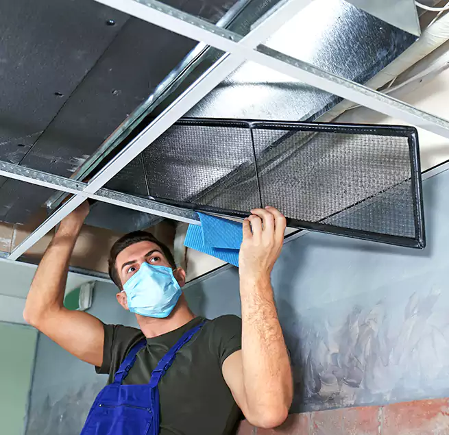 Why Homeowners Businesses Trust Us in Milton, MA