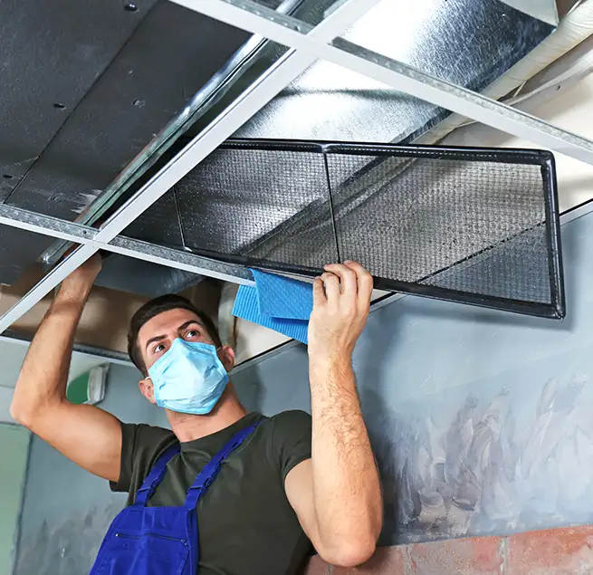 Why Homeowners & Businesses Trust Us in Milton, MA?